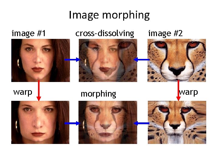 Image morphing image #1 warp cross-dissolving morphing image #2 warp 