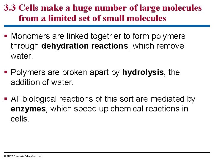 3. 3 Cells make a huge number of large molecules from a limited set