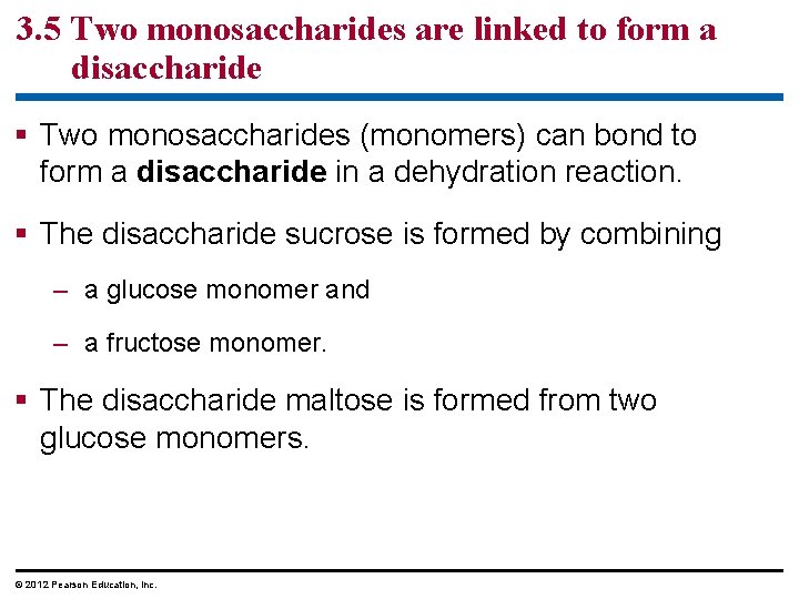 3. 5 Two monosaccharides are linked to form a disaccharide § Two monosaccharides (monomers)