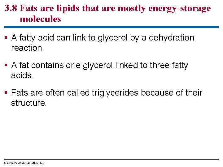 3. 8 Fats are lipids that are mostly energy-storage molecules § A fatty acid