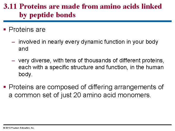 3. 11 Proteins are made from amino acids linked by peptide bonds § Proteins