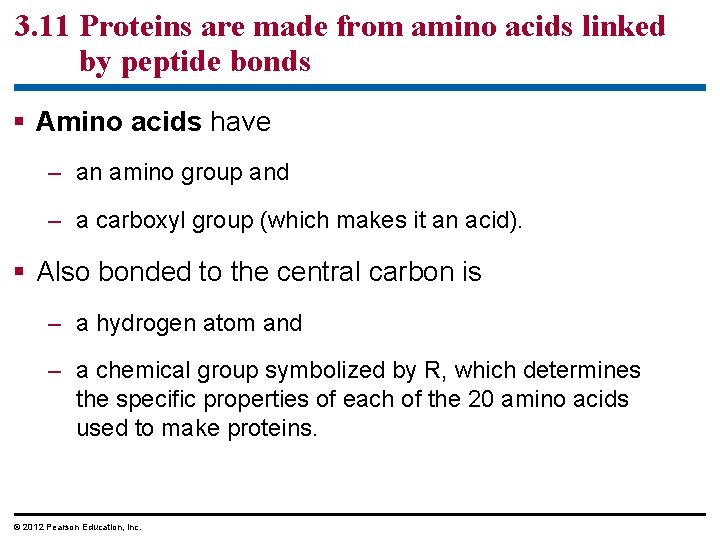 3. 11 Proteins are made from amino acids linked by peptide bonds § Amino