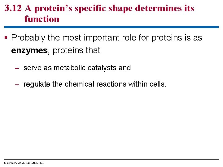 3. 12 A protein’s specific shape determines its function § Probably the most important