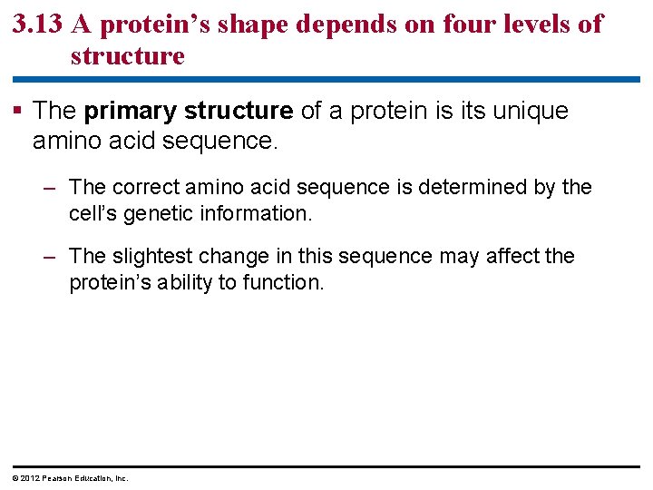 3. 13 A protein’s shape depends on four levels of structure § The primary