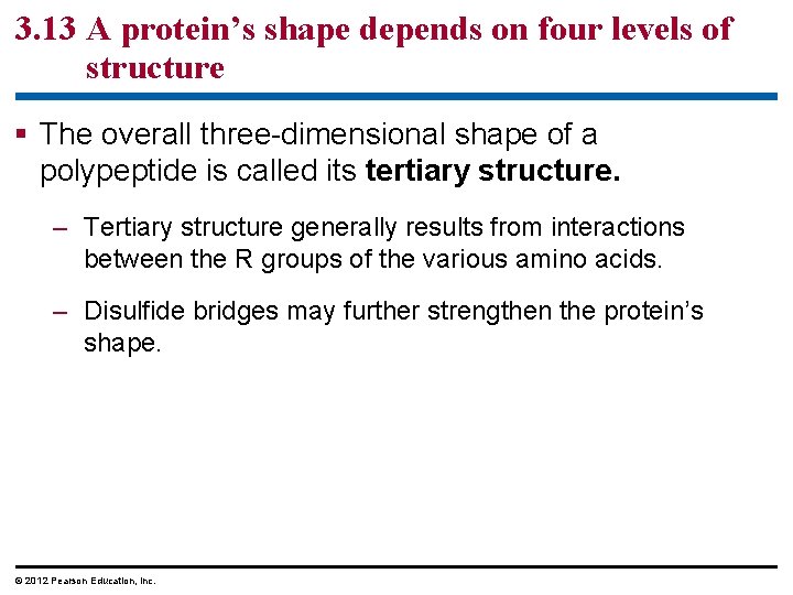 3. 13 A protein’s shape depends on four levels of structure § The overall