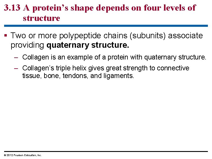 3. 13 A protein’s shape depends on four levels of structure § Two or