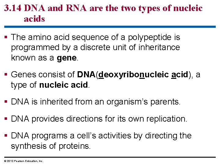 3. 14 DNA and RNA are the two types of nucleic acids § The