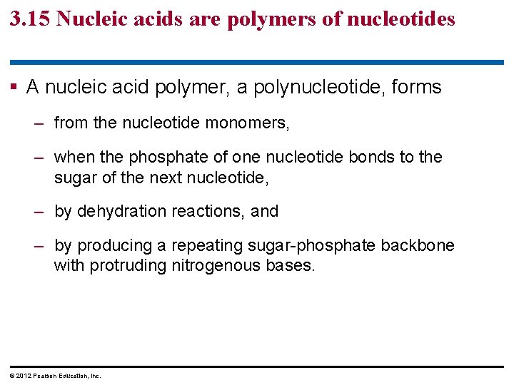 3. 15 Nucleic acids are polymers of nucleotides § A nucleic acid polymer, a