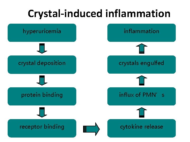 Crystal-induced inflammation hyperuricemia inflammation crystal deposition crystals engulfed protein binding influx of PMN’s receptor