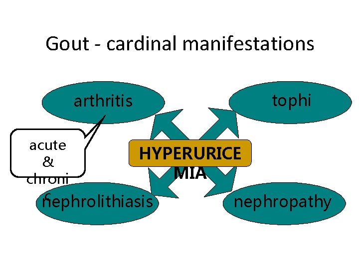 Gout - cardinal manifestations arthritis tophi acute HYPERURICE & MIA chroni c nephrolithiasis nephropathy