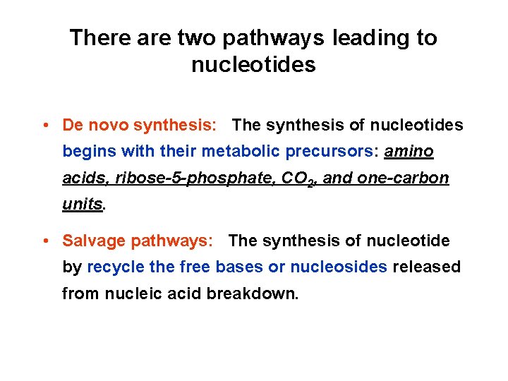 There are two pathways leading to nucleotides • De novo synthesis: The synthesis of