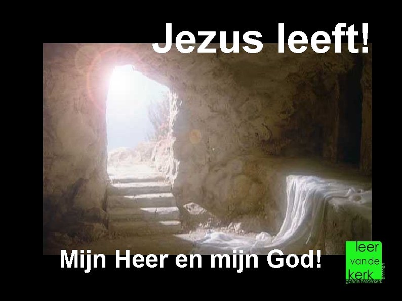 Jezus leeft! Mijn Heer en mijn God! 