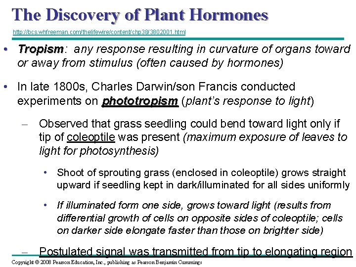 The Discovery of Plant Hormones http: //bcs. whfreeman. com/thelifewire/content/chp 38/3802001. html • Tropism: Tropism