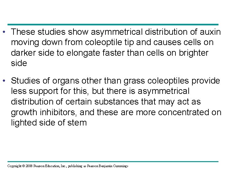  • These studies show asymmetrical distribution of auxin moving down from coleoptile tip