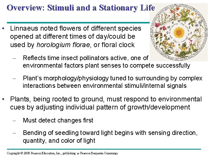 Overview: Stimuli and a Stationary Life • Linnaeus noted flowers of different species opened