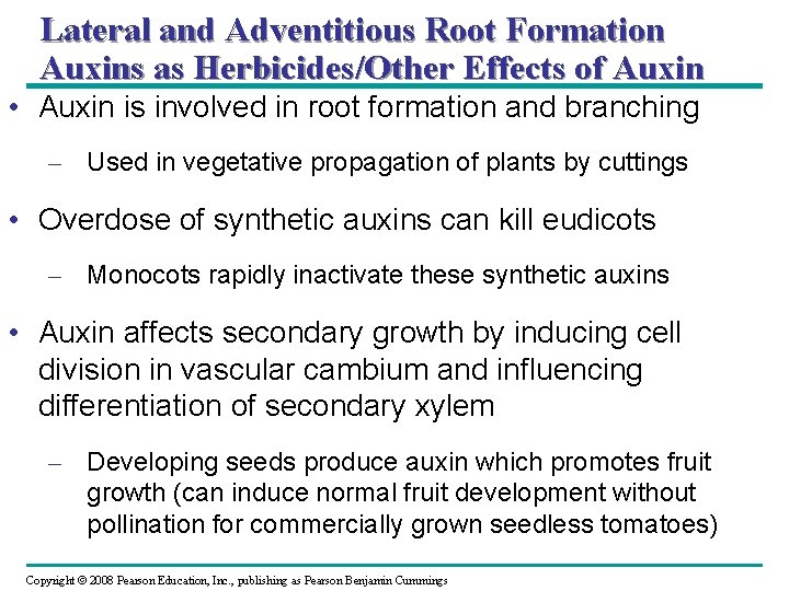 Lateral and Adventitious Root Formation Auxins as Herbicides/Other Effects of Auxin • Auxin is