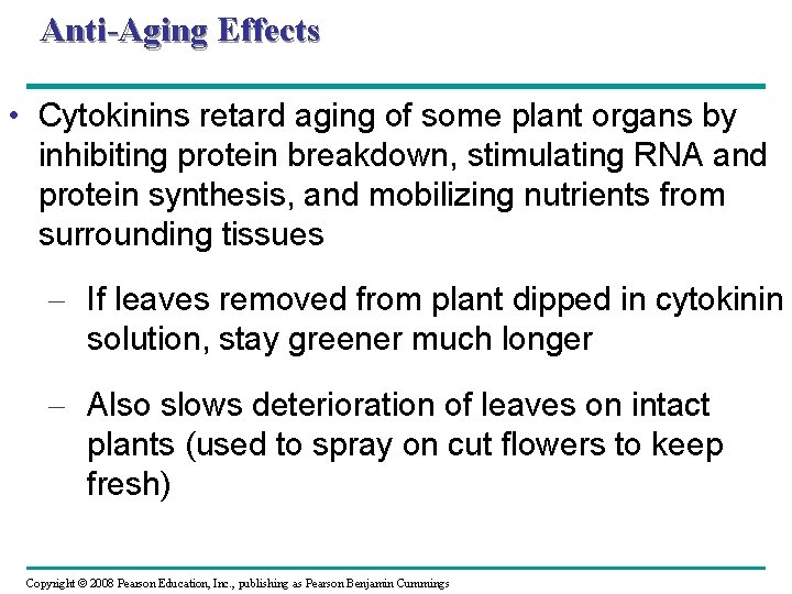 Anti-Aging Effects • Cytokinins retard aging of some plant organs by inhibiting protein breakdown,