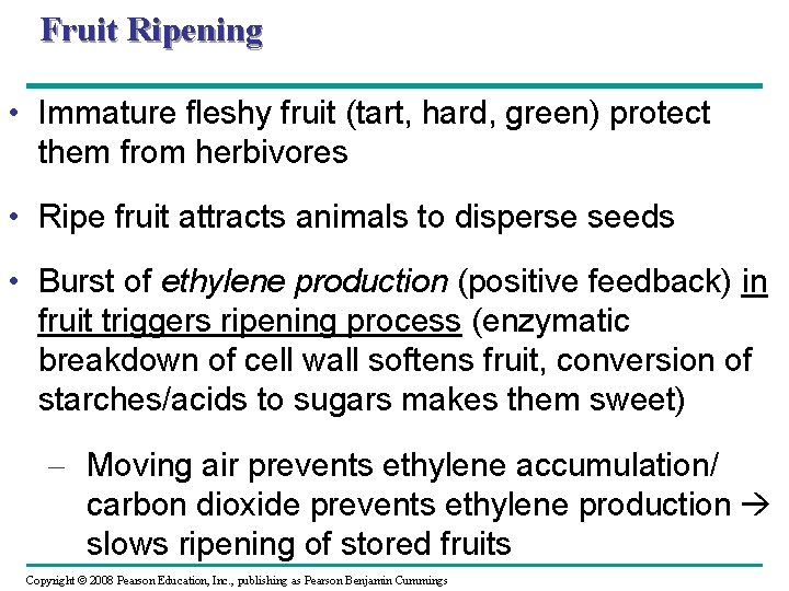 Fruit Ripening • Immature fleshy fruit (tart, hard, green) protect them from herbivores •