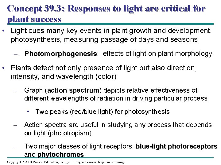 Concept 39. 3: Responses to light are critical for plant success • Light cues