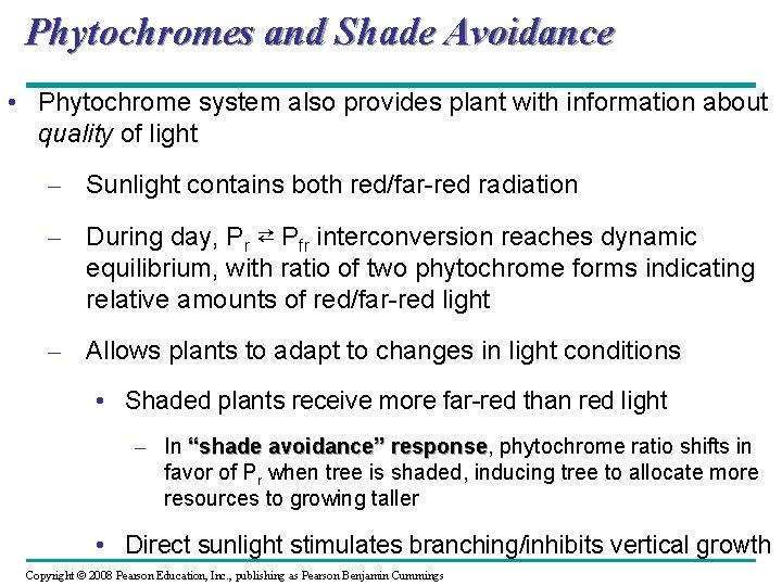 Phytochromes and Shade Avoidance • Phytochrome system also provides plant with information about quality