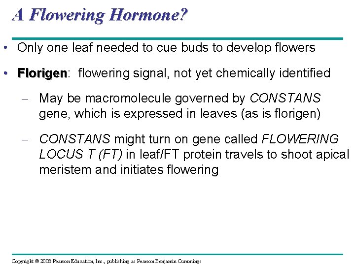 A Flowering Hormone? • Only one leaf needed to cue buds to develop flowers