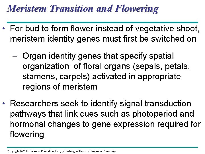 Meristem Transition and Flowering • For bud to form flower instead of vegetative shoot,