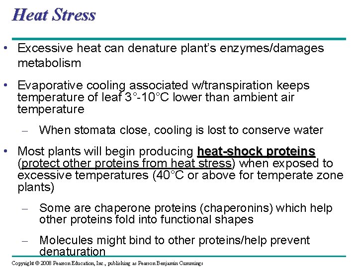 Heat Stress • Excessive heat can denature plant’s enzymes/damages metabolism • Evaporative cooling associated