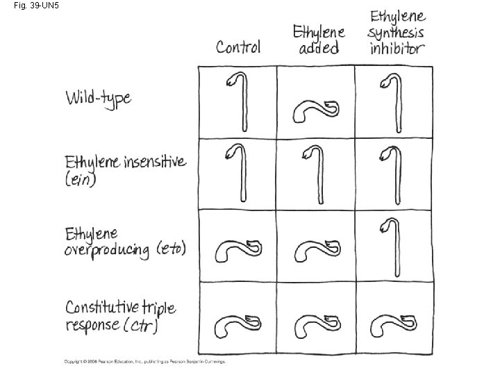 Fig. 39 -UN 5 