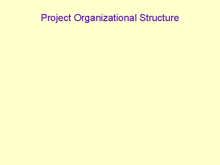 Project Organizational Structure 