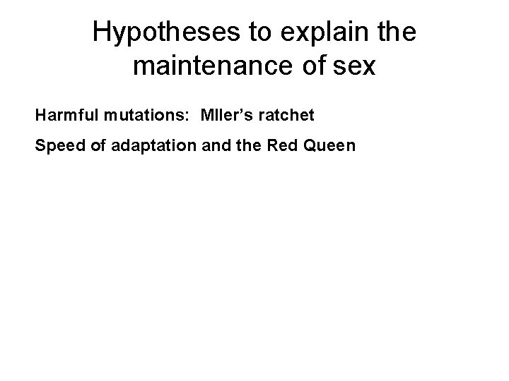 Hypotheses to explain the maintenance of sex Harmful mutations: Mller’s ratchet Speed of adaptation