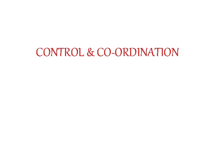 CONTROL & CO-ORDINATION 