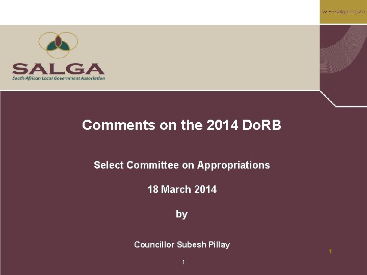 www. salga. org. za Comments on the 2014 Do. RB Select Committee on Appropriations