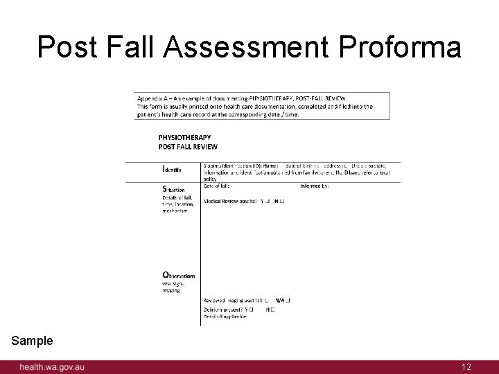 Post Fall Assessment Proforma Sample 12 