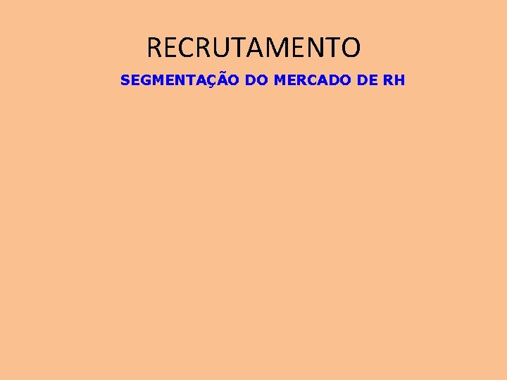 RECRUTAMENTO SEGMENTAÇÃO DO MERCADO DE RH 