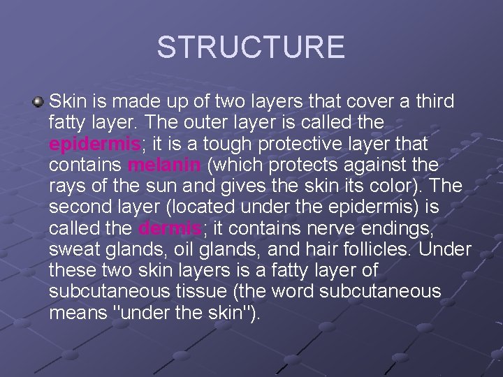 STRUCTURE Skin is made up of two layers that cover a third fatty layer.