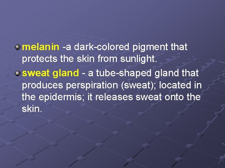 melanin -a dark-colored pigment that protects the skin from sunlight. sweat gland - a