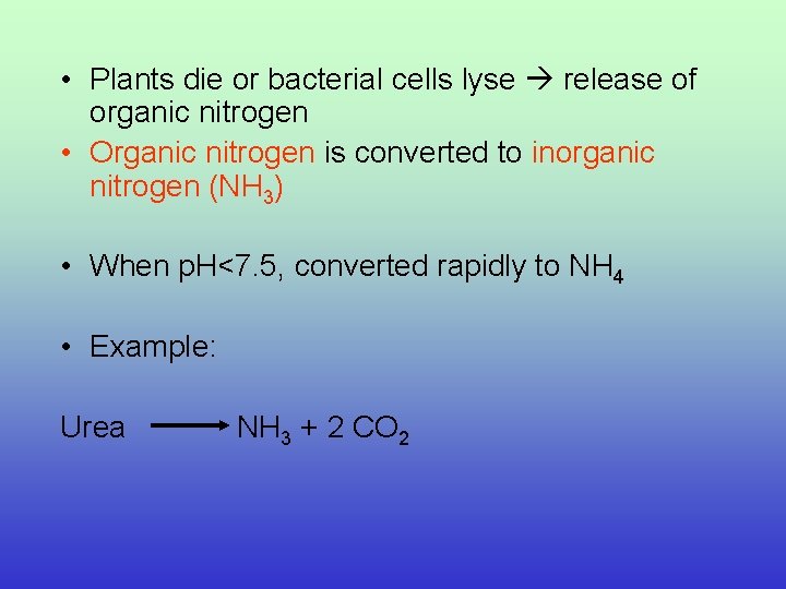  • Plants die or bacterial cells lyse release of organic nitrogen • Organic