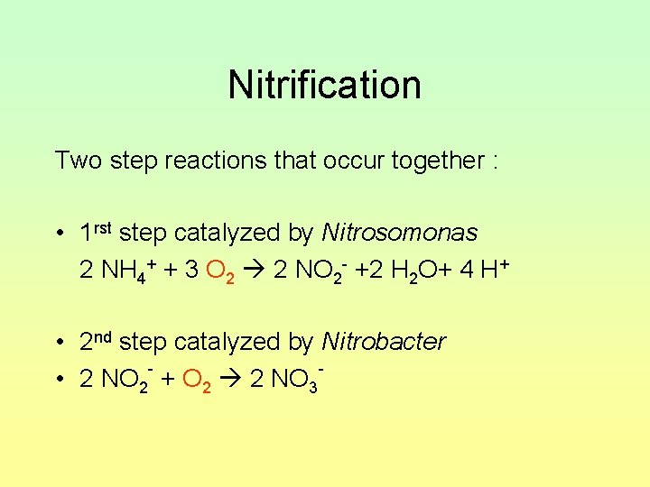 Nitrification Two step reactions that occur together : • 1 rst step catalyzed by