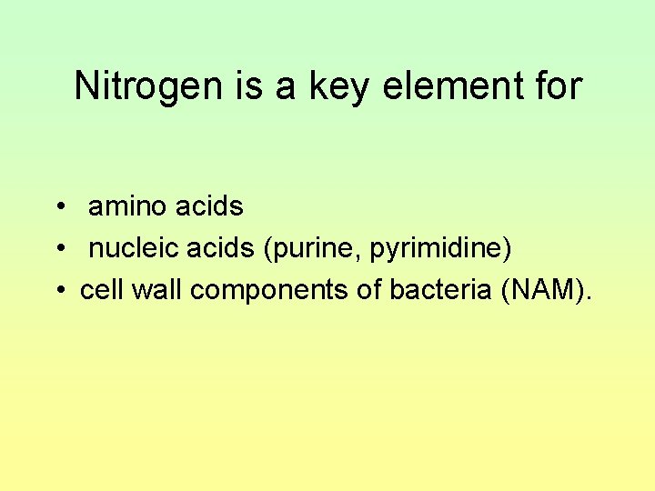 Nitrogen is a key element for • amino acids • nucleic acids (purine, pyrimidine)