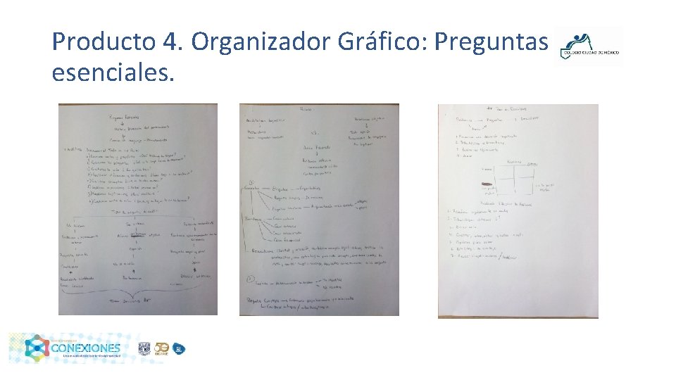 Producto 4. Organizador Gráfico: Preguntas esenciales. 