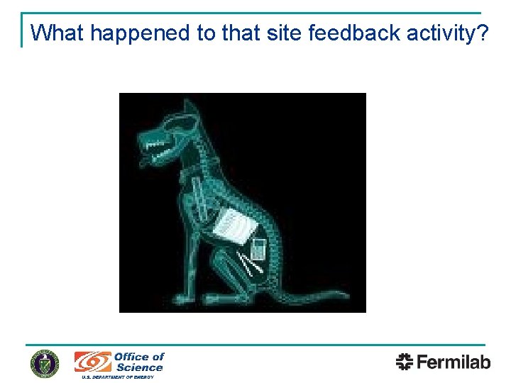What happened to that site feedback activity? 