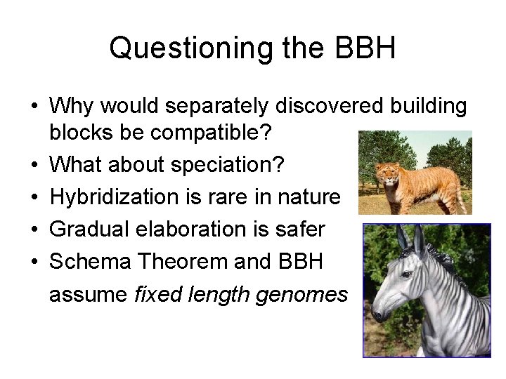 Questioning the BBH • Why would separately discovered building blocks be compatible? • What