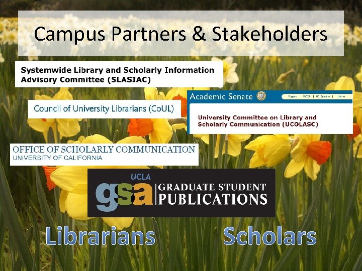 Campus Partners & Stakeholders Librarians Scholars 