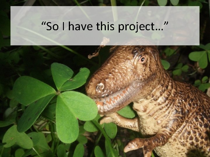 “So I have this project…” 