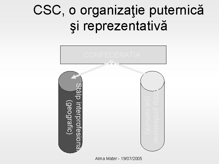 CSC, o organizaţie puternică şi reprezentativă CONFEDERAŤIA Stâlp profesional (pe ramură) Stâlp interprofesional (geografic)