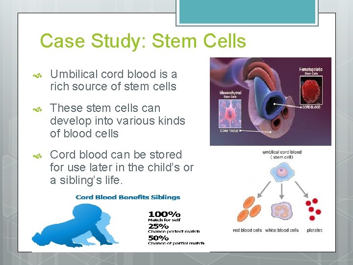 Case Study: Stem Cells Umbilical cord blood is a rich source of stem cells