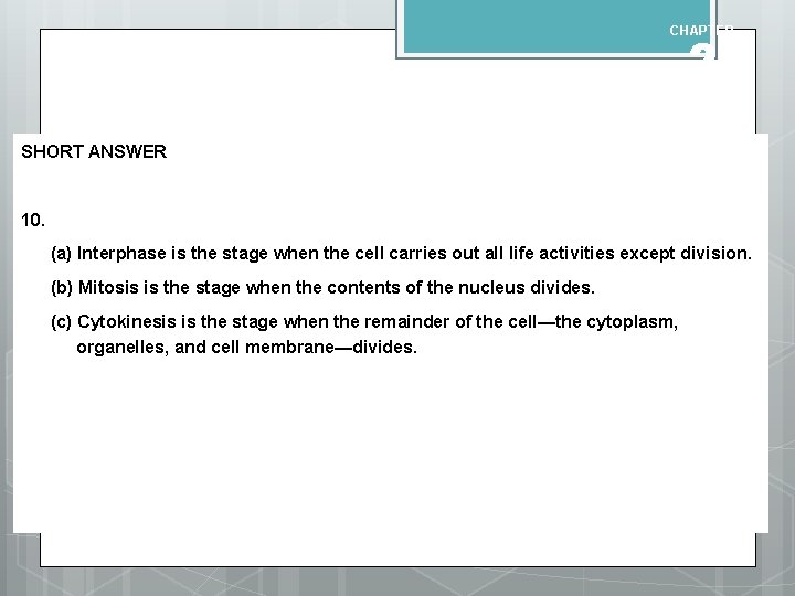 CHAPTER 2 QUIZ ANSWERS SHORT ANSWER 10. (a) Interphase is the stage when the