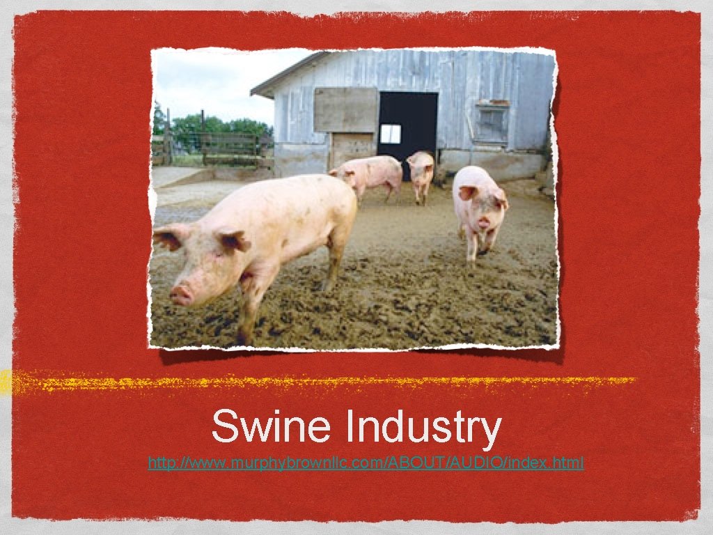 Swine Industry http: //www. murphybrownllc. com/ABOUT/AUDIO/index. html 