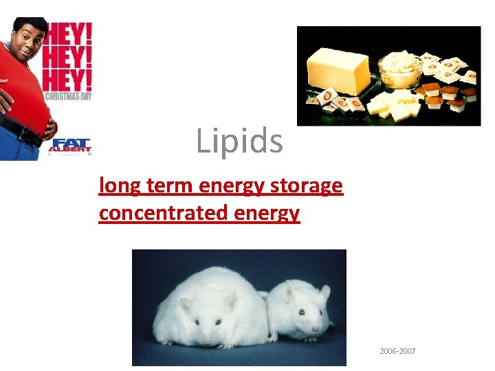 Lipids long term energy storage concentrated energy 2006 -2007 