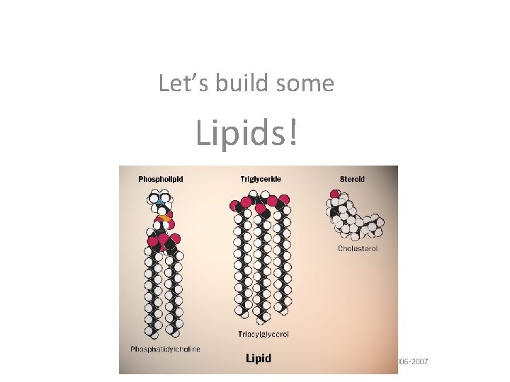 Let’s build some Lipids! 2006 -2007 